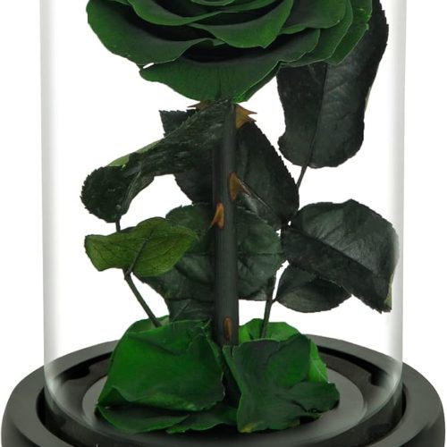 Handmade Preserved Roses in Glass Dome, Green Roses, Preserved Flowers Gifts for Women, Mothers Day Flowers