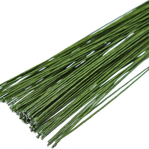 Version 1.0.0 18 Gague Floral Stem Wire,100pcs Paper Wrapped Florist Wire for Floral Arrangement