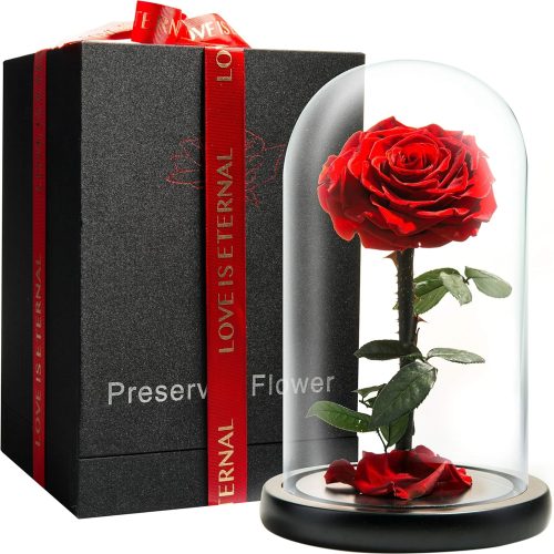 Forever Preserved Rose - Eternal Rose in Glass Dome - Beauty and the Beast Rose - Mothers Day Gifts For Mom - Fresh Flowers in Glass (Red, 9 Inch)