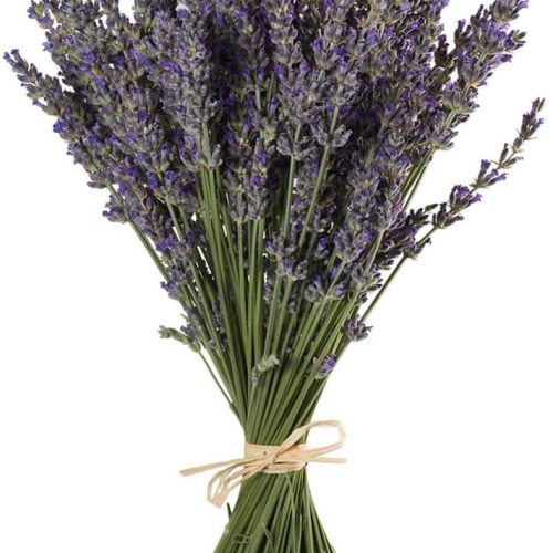 Natural Lavender Bundles, Freshly Harvested 200+ Stems Dried Lavender Bunch 16" - 18" Long, Decorative Flowers Bouquet for Home Decor, Crafts, Gift, Wedding or Any Occasion