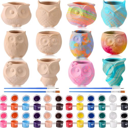 12 Pcs Bisque DIY Ceramic Owl Succulent Pots Paint Your Own Ceramic Succulent Planters with 2 Set Paints Paintable Owl Ceramic Flowerpots with Drainage Hole for School Classroom Kids Craft