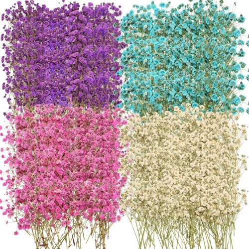 200 Pcs Dried Baby's Breath Flowers Preserved Baby's Breath Pressed Gypsophila Bouquet Natural Gypsophila Branches for Wedding DIY Crafts Home Decor Resin Art Card Making Vase Arrangements, 4 Colors