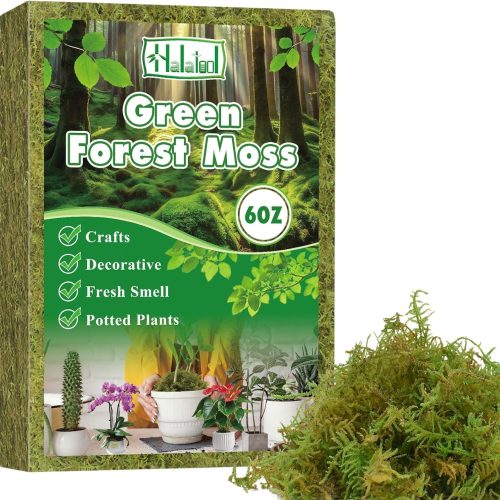 6OZ Green Moss for Indoor Plants, 8QT Orchid Moss for Repotting, Forest Moss for Potted Plants, Real Moss for Succulent Carnivorous Houseplant Terrariums Garden Reptiles