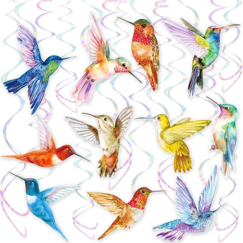 1 Hummingbird Hanging Swirls 20Pcs Hummingbird Birthday Decorations Hummingbirds Ceiling Decor Tropical Bird Party Hanging Streamer for Summer Flying Birds Baby Shower Supplies