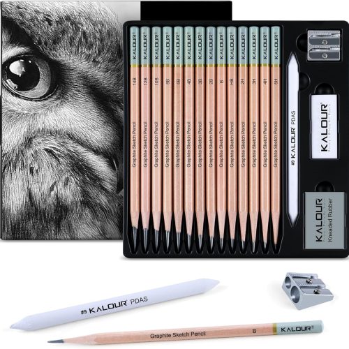 1 18-Piece Professional Sketch Pencil Set - Includes 5H to 14B Pencils, Vinyl Eraser, Kneaded Eraser,Sharpener and Paper Blending Stump - Ideal for Artists and Beginners