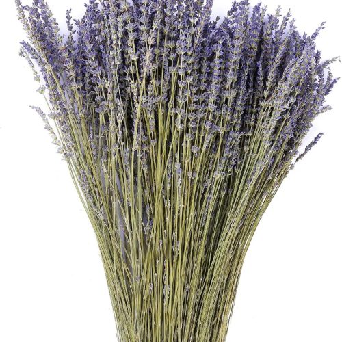 1 Dried Lavender Flowers Bundles 100% Natural Real Dry Flower for Home Decorations,Home Fragrance 350+ Stems