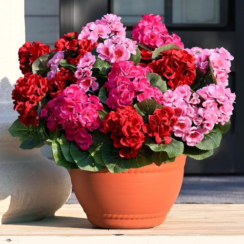 1 6 Pcs Artificial Fake Flowers for Outdoors, Silk Geraniums Mix Color Flower, UV Resistant Outdoor Faux Plants for Garden Porch Planter Patio Balcony Yard Indoor Home Decoration(6, Mix Color)