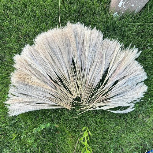 1 200 PCS Dried Pampas Grass Bouquet, Boho Table Decor,Fall Home Decorations, Super Quantity,for Wedding Boho Flowers Home Table Decor, Rustic Farmhouse Party (17 inch )