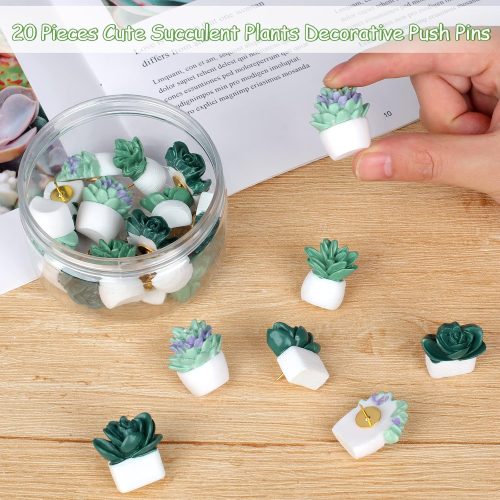 1 20 Pieces Cute Succulent Plants Decorative Push Pins Colorful Floret Thumbtacks for Photo Wall, Feature Wall, Whiteboard, Cork Board, Map, Bulletin Board, Office or Home (Three Assorted Styles)
