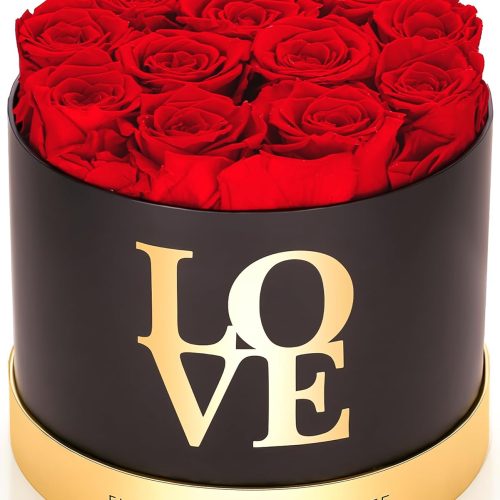 1 Preserved Roses in a Box – 12 Real Forever Flowers, Luxury Round Flower Gift for Her, Elegant Red Roses for Valentine’s Day, Anniversary & Home Décor
