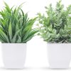 CT0404-NK-10GT_1 Der Rose 2 Pack Fake Plants Small Plants for Bathroom Office Decor | Mini cute faux plants, table desk home laundry room entryway decor, bathroom classroom decor, maintenance-free