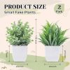 CT0404-NK-10GT_2 Der Rose 2 Pack Fake Plants Small Plants for Bathroom Office Decor | Mini cute faux plants, table desk home laundry room entryway decor, bathroom classroom decor, maintenance-free