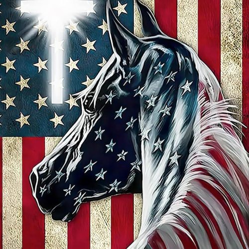 CT0425-DPT-101GT_1 American flag Horse 5D Diamond Art Kits for Adults Beginners,DIY Full Round Drill Patriotic Horse Cross Diamond Painting Kits,Cross Paint by Diamonds Dot Gem Art Crystal Easy,Home Wall Decor 12X16Inch