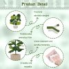 CT0434796JS_3 This is Your Year Bulletin Board Set Plant Motivational Classroom Decoration Inspirational Welcome Back to School Bulletin Board Cutouts for School Office Chalkboard Wall Door Decor Supply