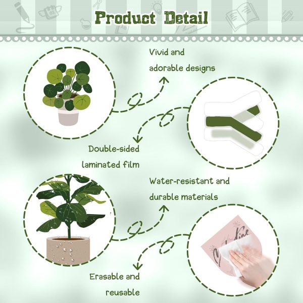 CT0434796JS_3 This is Your Year Bulletin Board Set Plant Motivational Classroom Decoration Inspirational Welcome Back to School Bulletin Board Cutouts for School Office Chalkboard Wall Door Decor Supply