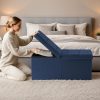 30-INCH Ottoman with Storage, Footrest Storage Bench, End of Bed Bench Coffee Table for Living Room, Bedroom, Entryway (Blue)