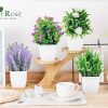 CT0528-PCS-170GT_2 Der Rose 4 Pack Small Fake Plants with Flowers, Bathroom Desk Decor Indoor | UV-resistant fake flowers, varied bloom styles in white pots, for desk shelf bathroom office and spring classroom decor