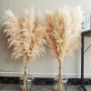 CT0609-BTR-03GT_1 40" inch 10 Stems Natural Pampas Grass Decor Tall, pompas Grass, Tall Pampas Grass for Wedding, Party, Farmhouse, Boho Home Decor