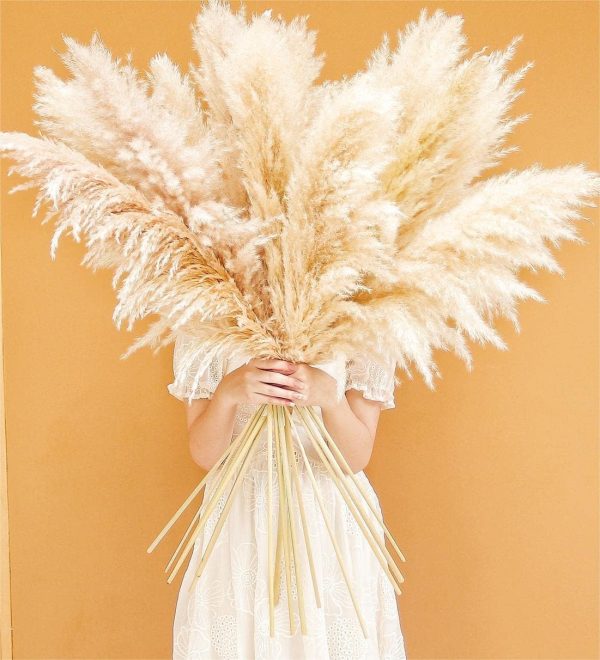 CT0609-BTR-03GT_2 40" inch 10 Stems Natural Pampas Grass Decor Tall, pompas Grass, Tall Pampas Grass for Wedding, Party, Farmhouse, Boho Home Decor