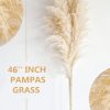 CT0609-BTR-03GT_3 40" inch 10 Stems Natural Pampas Grass Decor Tall, pompas Grass, Tall Pampas Grass for Wedding, Party, Farmhouse, Boho Home Decor
