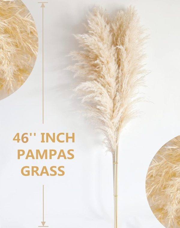 CT0609-BTR-03GT_3 40" inch 10 Stems Natural Pampas Grass Decor Tall, pompas Grass, Tall Pampas Grass for Wedding, Party, Farmhouse, Boho Home Decor