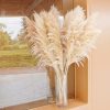 CT0609-BTR-03GT_4 40" inch 10 Stems Natural Pampas Grass Decor Tall, pompas Grass, Tall Pampas Grass for Wedding, Party, Farmhouse, Boho Home Decor