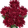 CT0811ZRA374GT_1 Briful 6 Pcs Burgundy Artificial Mums for Outdoors Fall – 25.6’’ Long Stem Faux Chrysanthemums, Large 6’’ Silk Fall Flowers for Wedding Bouquets, Centerpieces, Porch Décor, Indoor Home Decoration