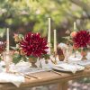 CT0811ZRA374GT_2 Briful 6 Pcs Burgundy Artificial Mums for Outdoors Fall – 25.6’’ Long Stem Faux Chrysanthemums, Large 6’’ Silk Fall Flowers for Wedding Bouquets, Centerpieces, Porch Décor, Indoor Home Decoration