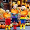 NOVWANG 18Pcs Pumpkin Balloons for Thanksgiving Halloween Party Decorations | Mylar Foil, Halloween Thanksgiving Autumn Party, Room Yard Event Decoration, 18Pcs Fall Orange Pumpkins Supplies