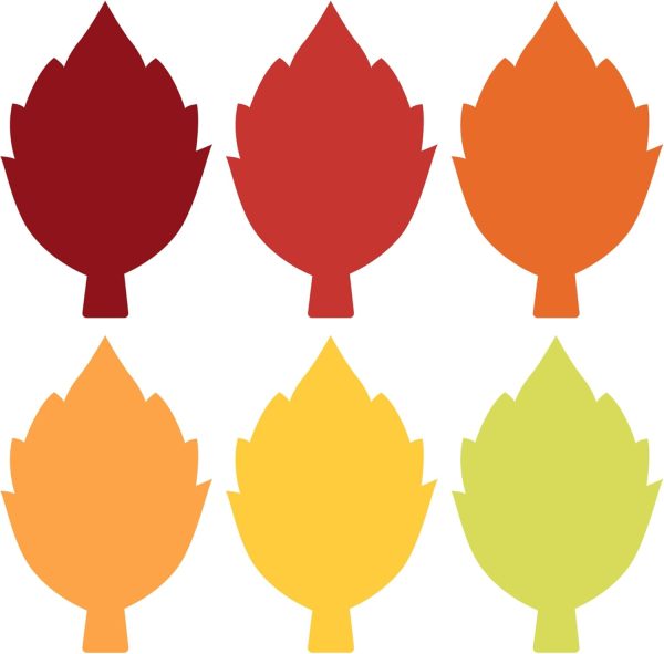 60 PCS Fall Cutouts for Bulletin Board Decoration, Maple Leaves Autumn Leaf Paper Cut Outs for Thanksgiving Fall Autumn Party Office Home School Classroom Bulletin Board Decoration