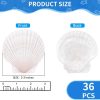 CT16060CT_2 36PCS Natural Scallop Shells for Crafts, 2-3 in White Seashells for Paint | For DIY, decorating, Painting, coastal decor, beach wedding and ocean-themed parties; smooth, flat surfaces arrive cleaned.