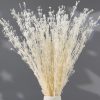 Dried Flowers Babys Breath Bouquet, – 17 Inch 3500+ Preserved Natural Flowers, Dried Floral Arrangements for Wedding Decor, Farmhouse Vase Crafts, DIY Wreath, Home Party Decoration, White