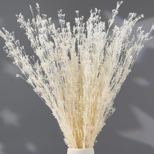 Dried Flowers Babys Breath Bouquet, – 17 Inch 3500+ Preserved Natural Flowers, Dried Floral Arrangements for Wedding Decor, Farmhouse Vase Crafts, DIY Wreath, Home Party Decoration, White
