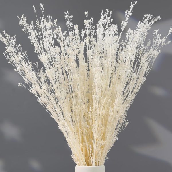 Dried Flowers Babys Breath Bouquet, – 17 Inch 3500+ Preserved Natural Flowers, Dried Floral Arrangements for Wedding Decor, Farmhouse Vase Crafts, DIY Wreath, Home Party Decoration, White