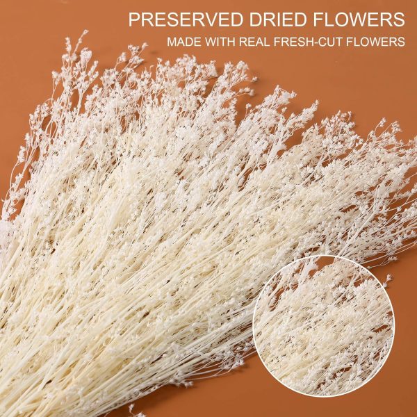Dried Flowers Babys Breath Bouquet, – 17 Inch 3500+ Preserved Natural Flowers, Dried Floral Arrangements for Wedding Decor, Farmhouse Vase Crafts, DIY Wreath, Home Party Decoration, White