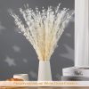 Dried Flowers Babys Breath Bouquet, – 17 Inch 3500+ Preserved Natural Flowers, Dried Floral Arrangements for Wedding Decor, Farmhouse Vase Crafts, DIY Wreath, Home Party Decoration, White