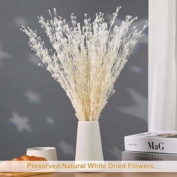 Dried Flowers Babys Breath Bouquet, – 17 Inch 3500+ Preserved Natural Flowers, Dried Floral Arrangements for Wedding Decor, Farmhouse Vase Crafts, DIY Wreath, Home Party Decoration, White