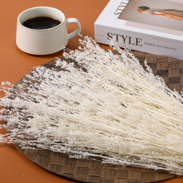 Dried Flowers Babys Breath Bouquet, – 17 Inch 3500+ Preserved Natural Flowers, Dried Floral Arrangements for Wedding Decor, Farmhouse Vase Crafts, DIY Wreath, Home Party Decoration, White