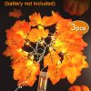 CT25EZ876CT_3 Luditek Fall Decor 3-Pack Fall Leaf Garland with Lights, Total 24.6ft 60 LED Halloween String Lights, Thanksgiving Decorations for Home Holiday Autumn Indoor Friendsgiving Gift