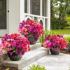 12 Pack Artificial Hibiscus Flowers UV Resistant Fake Silk Flowers for Outdoors Hanging Baskets Porch Patio Garden Decor Faux Tropical Plants