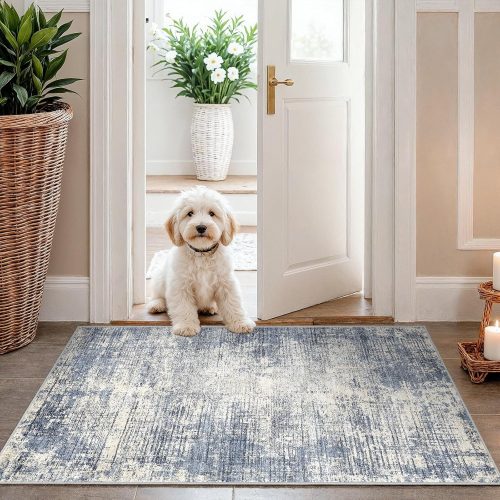 CTD-GR-2111GK_1 Washable Entryway 2x3 Area Rug: Small Abstract Kitchen Rugs for Indoor Bathroom Entrance Non Slip Door Mat with Rubber Backing Ultra Thin Soft Carpet for Bedroom Pet Feeding Area (Blue Gray,2x3)