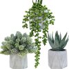 CTD-GR-S136435GK_1 Winlyn Set of 3 Mini Artificial Succulent Plants Potted Small Fake Aloe Hops String of Pearls Plants in Gray Hexagon Ceramic Pots for Modern Home Office Desk Living Room Kitchen Table Shelf Décor