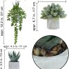 CTD-GR-S136435GK_2 Winlyn Set of 3 Mini Artificial Succulent Plants Potted Small Fake Aloe Hops String of Pearls Plants in Gray Hexagon Ceramic Pots for Modern Home Office Desk Living Room Kitchen Table Shelf Décor