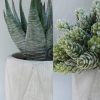 CTD-GR-S136435GK_3 Winlyn Set of 3 Mini Artificial Succulent Plants Potted Small Fake Aloe Hops String of Pearls Plants in Gray Hexagon Ceramic Pots for Modern Home Office Desk Living Room Kitchen Table Shelf Décor