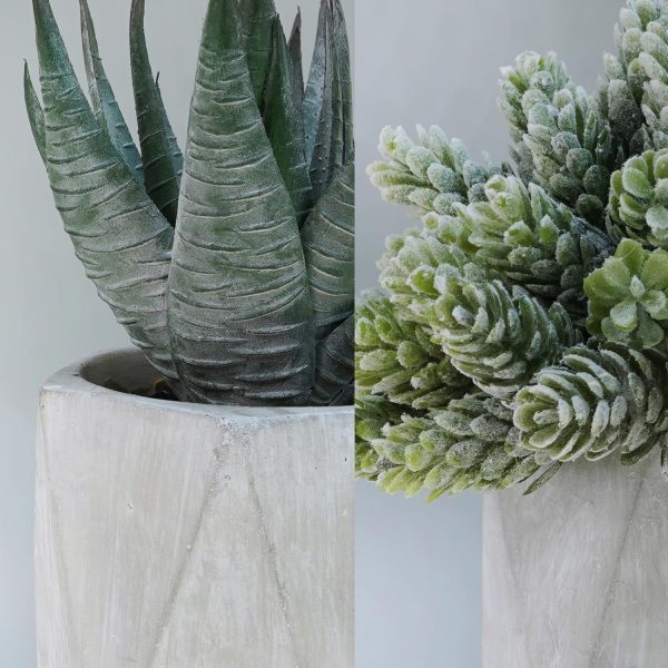 CTD-GR-S136435GK_3 Winlyn Set of 3 Mini Artificial Succulent Plants Potted Small Fake Aloe Hops String of Pearls Plants in Gray Hexagon Ceramic Pots for Modern Home Office Desk Living Room Kitchen Table Shelf Décor