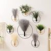Pretty Jolly Boho Wall Decor, Wall-Mounted Metal Art, Hanging Artificial Pampas Display, Living Room, Bedroom, Bathroom, Diningroom, Fake Faux Plant 2 Pack Black Brown | Hanging Planter Display, For Living Room, Bedroom, Bathroom, Dining room, 2 Pack Black