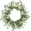 CTPAR-S-060_1 Pinkpum 20'' Eucalyptus Wreath for Front Door, Porch, Window - Green Decor for Home, Farmhouse - Spring, Summer, Fall, All Seasons | Front Door Porch Window Greenery Boho Farmhouse Rustic All Year Outside Welcome Home Decorations Gift for Housewarming