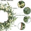 CTPAR-S-060_2 Pinkpum 20'' Eucalyptus Wreath for Front Door, Porch, Window - Green Decor for Home, Farmhouse - Spring, Summer, Fall, All Seasons | Front Door Porch Window Greenery Boho Farmhouse Rustic All Year Outside Welcome Home Decorations Gift for Housewarming