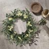 CTPAR-S-060_3 Pinkpum 20'' Eucalyptus Wreath for Front Door, Porch, Window - Green Decor for Home, Farmhouse - Spring, Summer, Fall, All Seasons | Front Door Porch Window Greenery Boho Farmhouse Rustic All Year Outside Welcome Home Decorations Gift for Housewarming