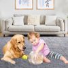 Puremy Fluffy Shag Area Rug, 4x6 Grey Rugs for Bedroom, Soft Plush Area Rugs for Living Room, Non-Slip Indoor Carpet for Nursery, Study Room, Dressing Room, Home Decor